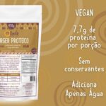 foto capa burger proteico 450g caracteristicas